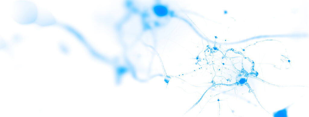 Neurons and nervous system. Nerve cells background with copy spa